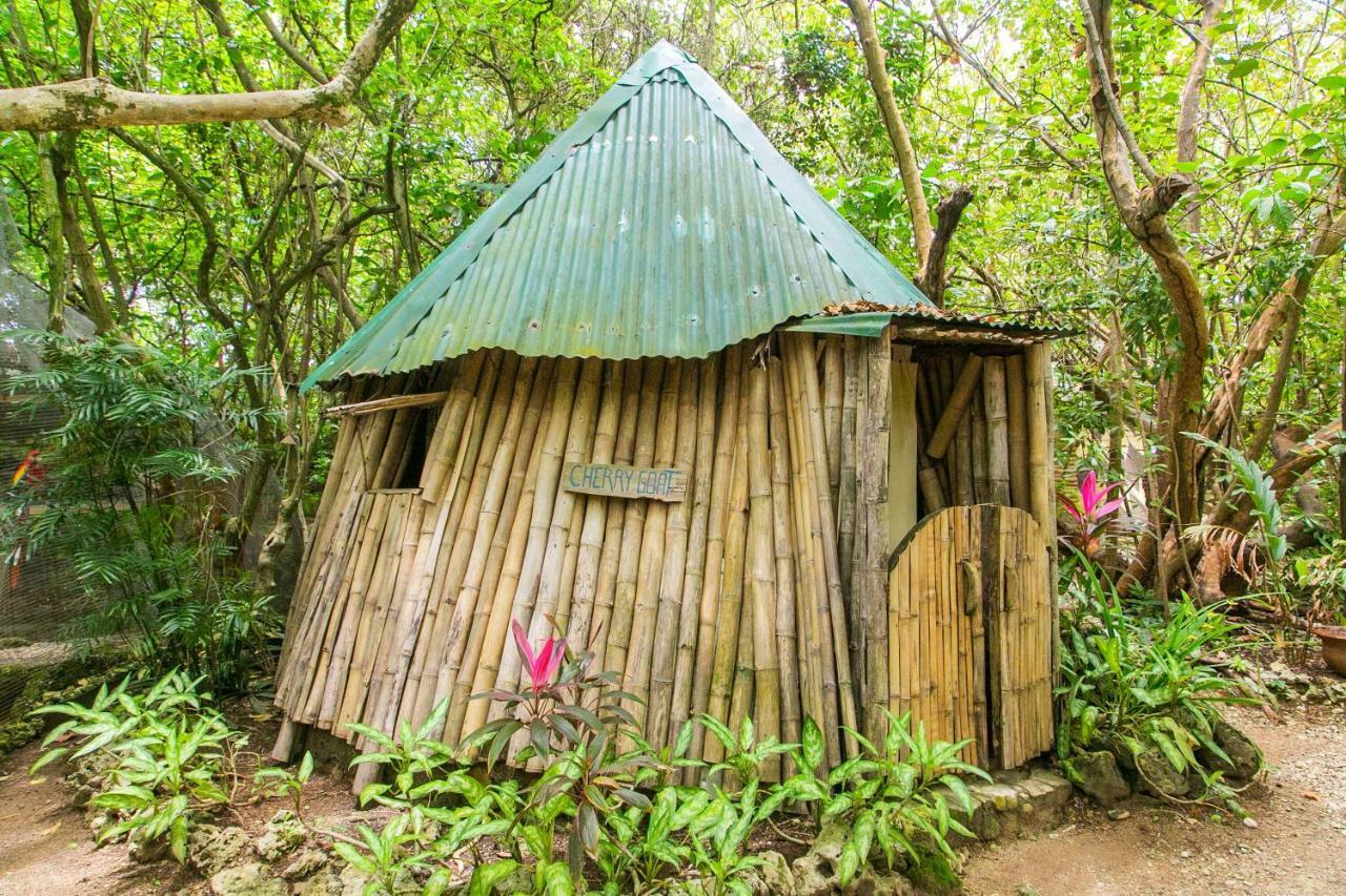 Great Huts Villa Boston Bay Exterior photo